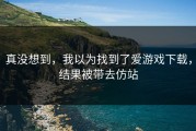 真没想到，我以为找到了爱游戏下载，结果被带去仿站