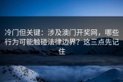 冷门但关键：涉及澳门开奖网，哪些行为可能触碰法律边界？这三点先记住