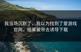 我当场沉默了，我以为找到了爱游戏官网，结果被带去诱导下载