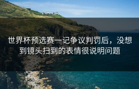 世界杯预选赛一记争议判罚后，没想到镜头扫到的表情很说明问题
