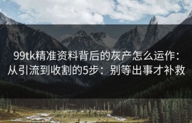 99tk精准资料背后的灰产怎么运作：从引流到收割的5步：别等出事才补救