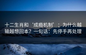 十二生肖和‘成瘾机制’：为什么越输越想回本？一句话：先停手再处理