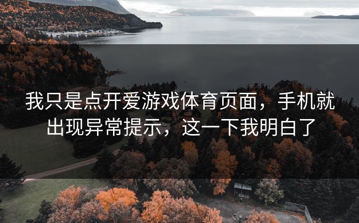 我只是点开爱游戏体育页面，手机就出现异常提示，这一下我明白了